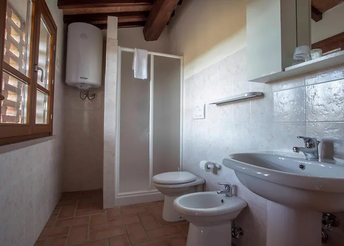 Colle Bertini Montaione