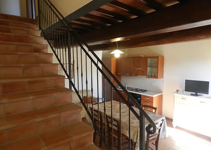 Colle Bertini Montaione