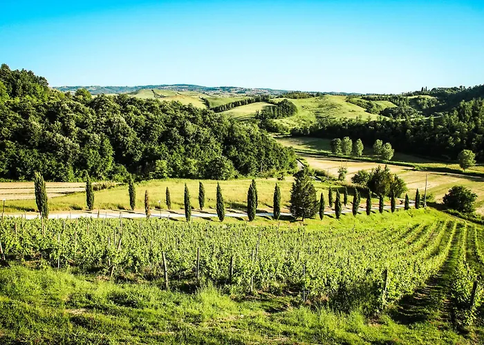 Casa de Campo Colle Bertini *