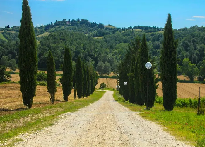 Colle Bertini * Montaione