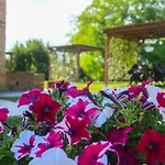 Colle Bertini * Montaione