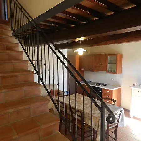 Colle Bertini Montaione