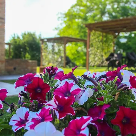 Colle Bertini * Montaione