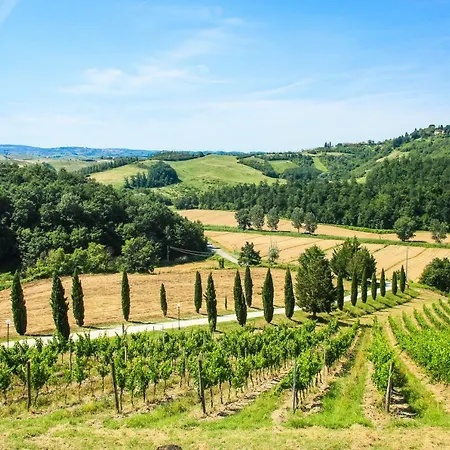 Colle Bertini * Montaione