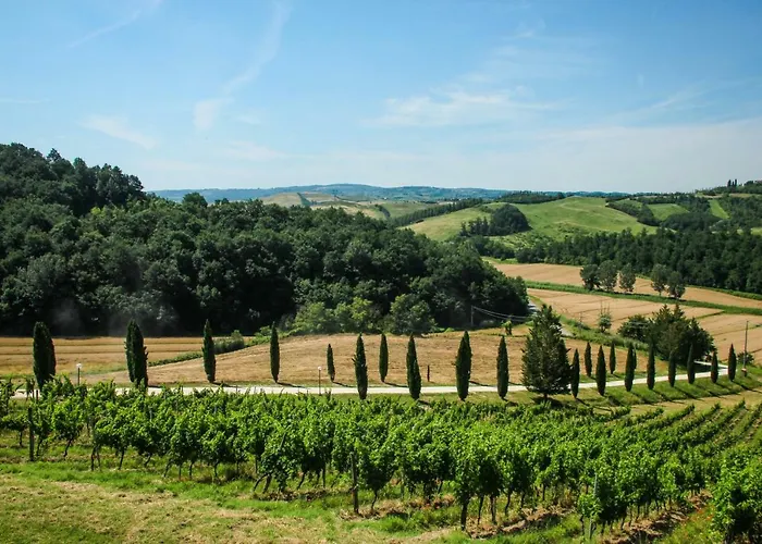 Casa di campagna Colle Bertini Montaione