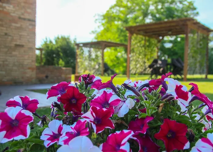 Colle Bertini * Montaione